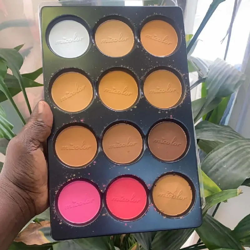 Quick Sale Micolor 12 in 1 Powder Palette