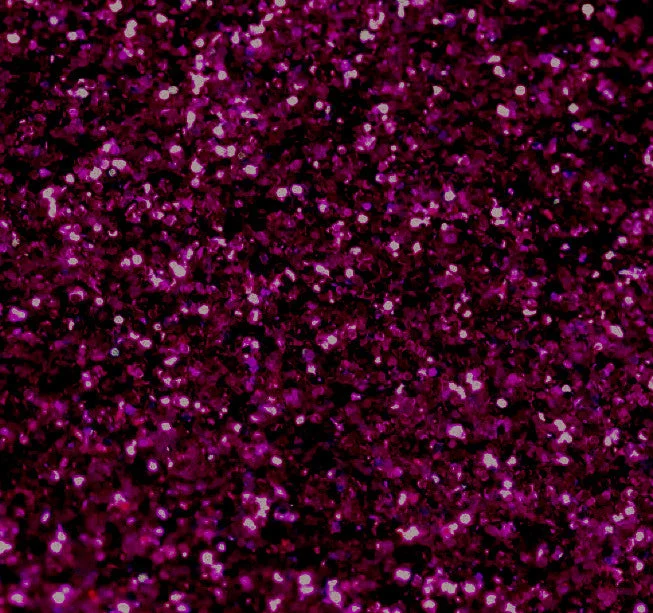 Blowout Sale Penelope Glitter