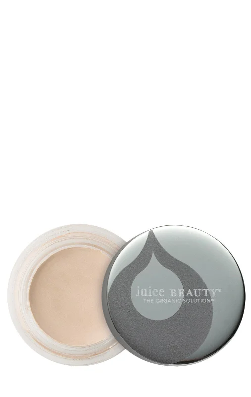 Special Offer Perfecting Concealer