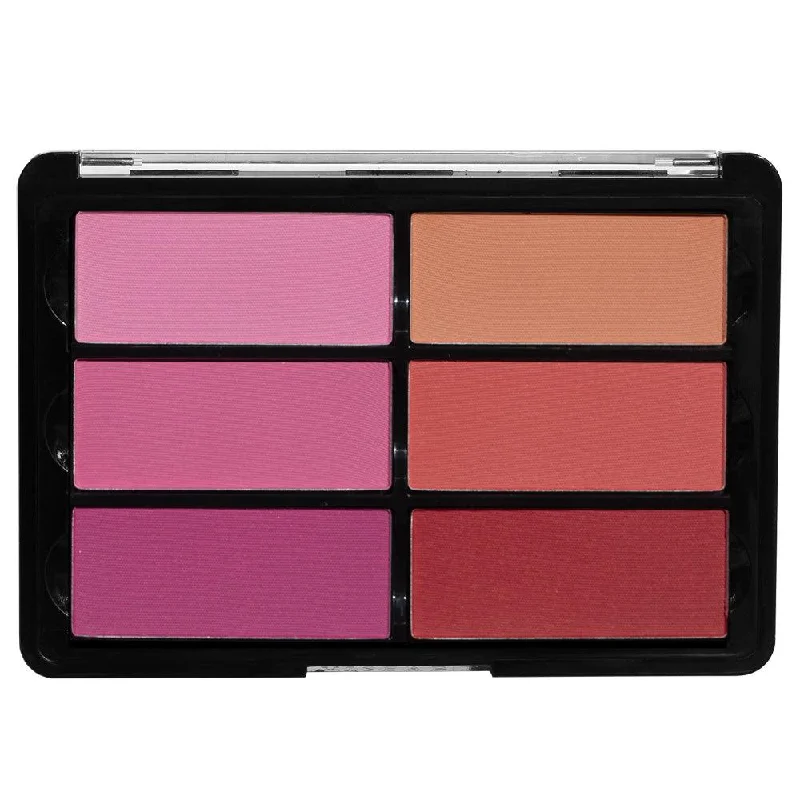Crazy Deals Viseart Blush HD Palette